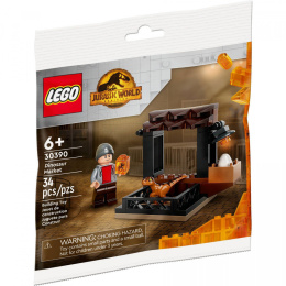 LEGO JURASSIC WORLD Dinosaur Market 30390