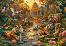 Castor Puzzle 1000 elementów Tigers Paradise