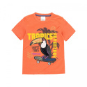 T-shirt BIRD dla chłopca BOBOLI